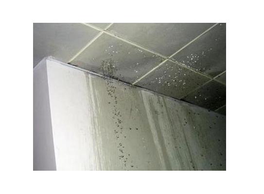 客厅屋顶漏水如何找漏水处,小贝防水补漏价格