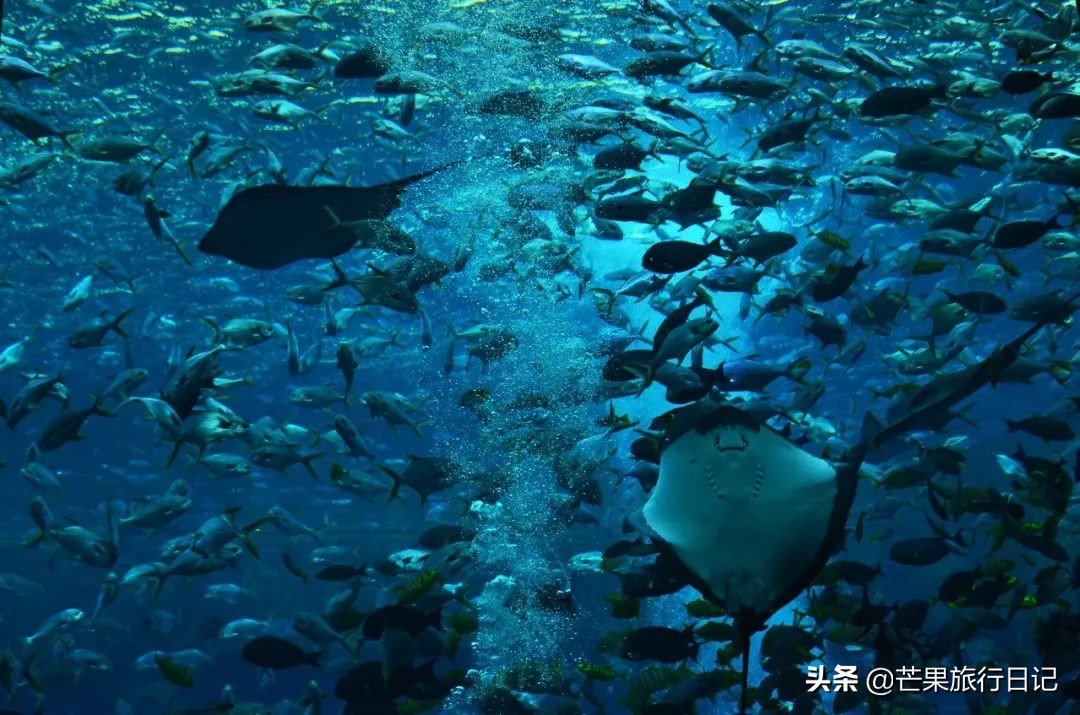 第二次到三亚的视频,第二次来三亚哪里好玩