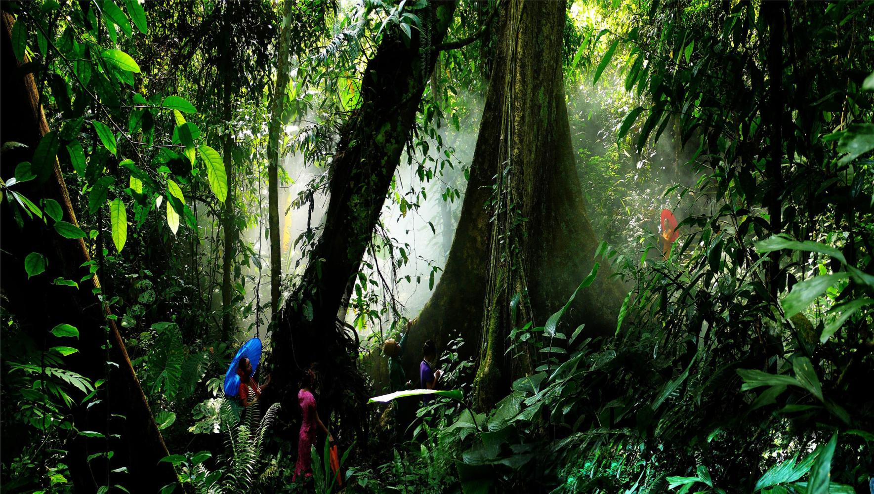 去云南玩十天可以玩些什么景点,云南有哪些景区攻略一下