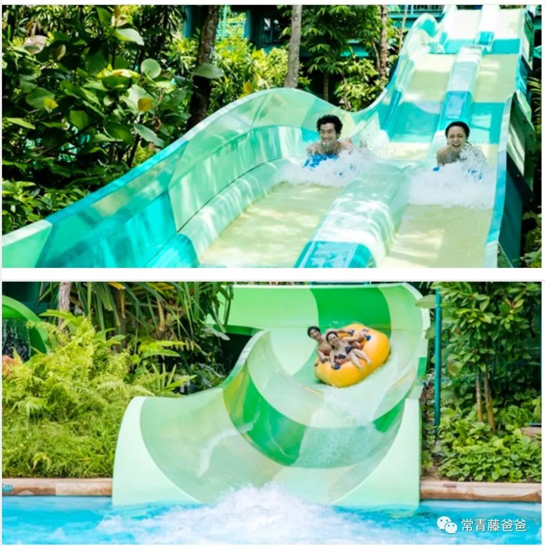 十一新加坡,十一游学新加坡