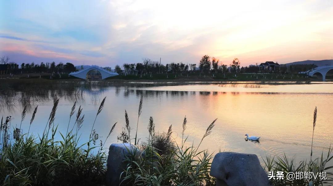 不止一面涡阳,不止一面原图