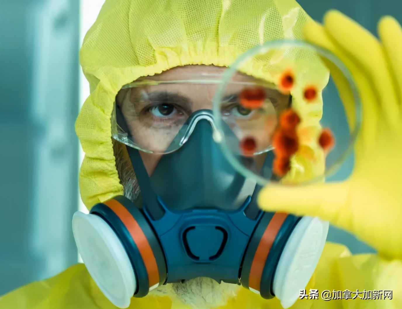 南美洲最近新型病毒,新冠疫情南美死亡多少人