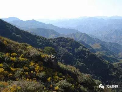 北京国家森林公园风景,画说北京故事