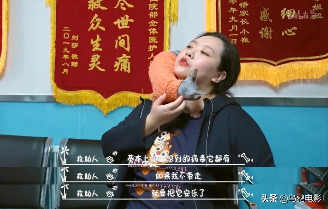 b站必看的综艺,b站能看的综艺推荐