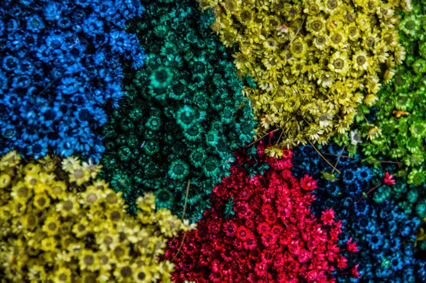 开花店的十大忠告,开花店的人现在都怎么样了