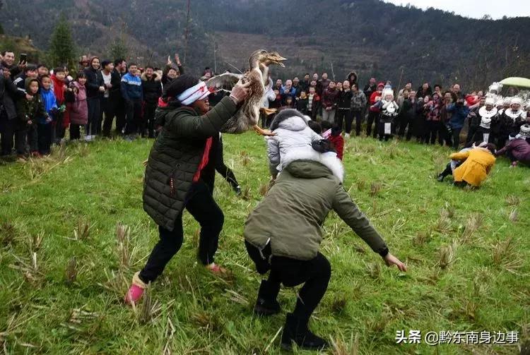 贵州黔东南剑河苗寨活动,贵州省剑河县苗族春节活动