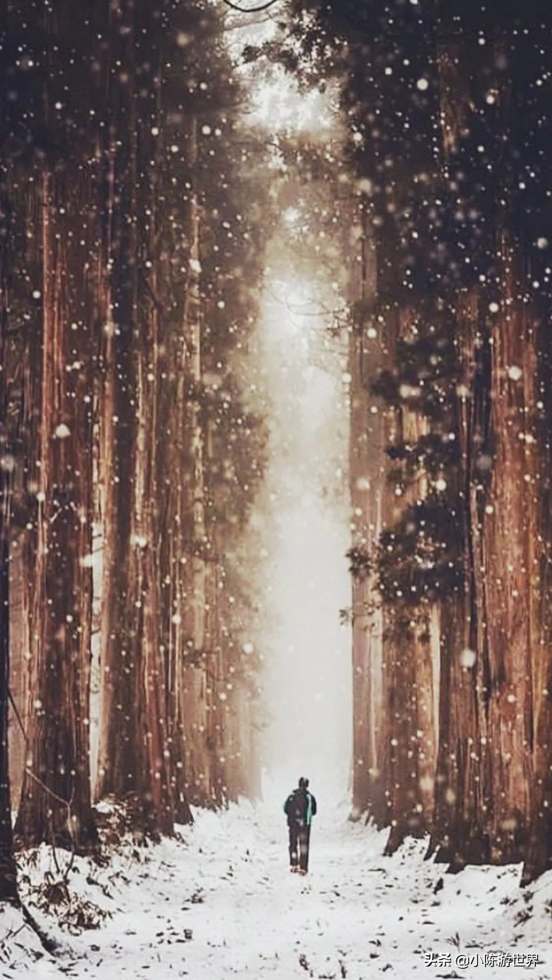 日本赴华旅行,日本赴中国旅游