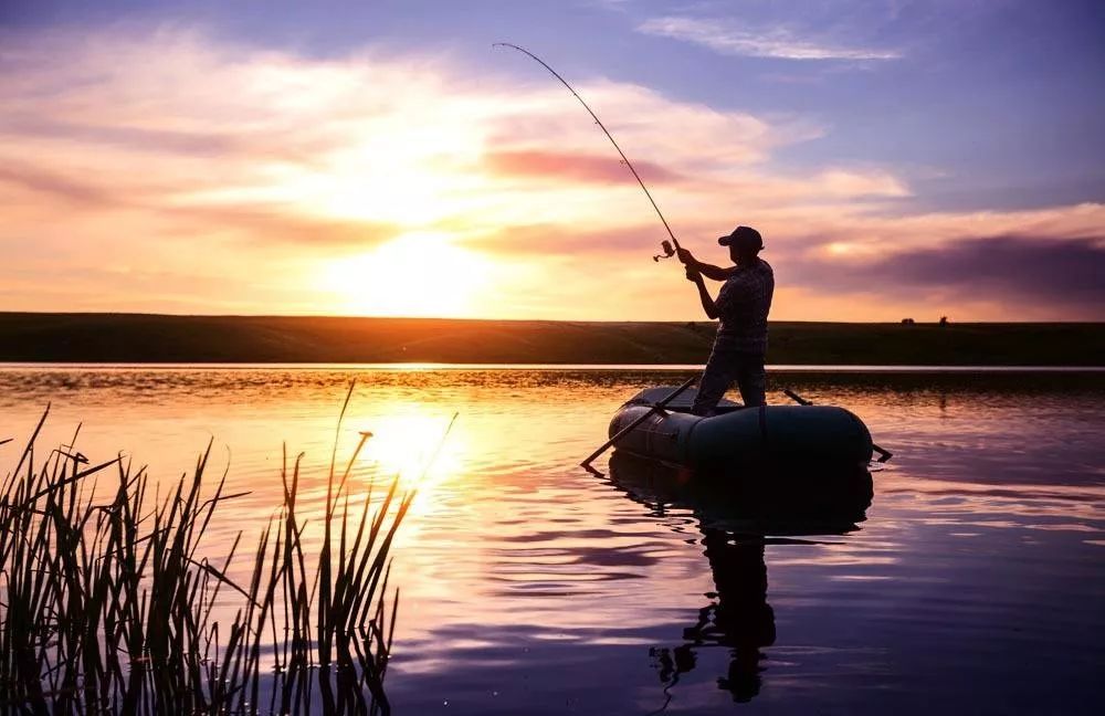 年轻人的新爱好:2亿人次沉迷于“中年男人的快乐”,少有女性