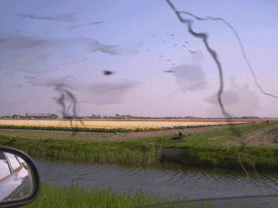 眼前飞蚊晃动，令人抓狂，你到底还能不能再“抢救”一下？