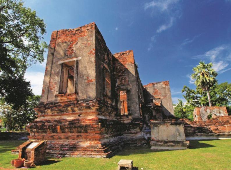 泰国一桌水果大餐,泰国数百只猴子无人喂食饥饿难耐