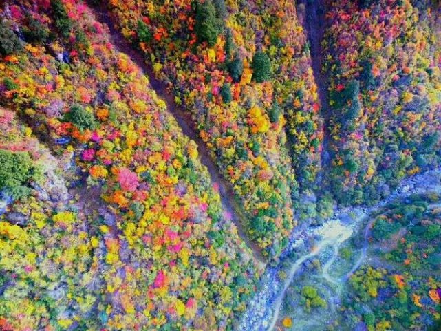 阿坝州红叶之旅,什么时候去阿坝州看秋景最佳