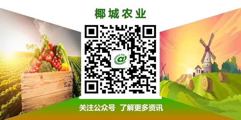 全国第六届文明村名单,第六届全国文明村镇名单