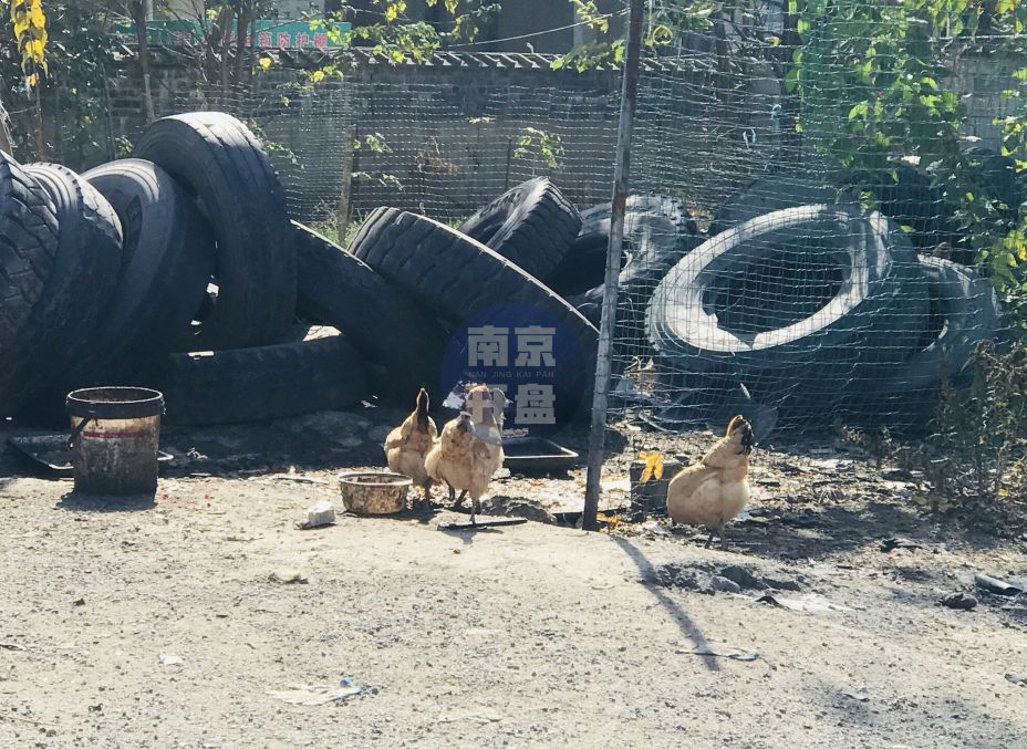 鐑傚熬鍦板潡澶嶆椿,鐑傚熬妤兼浘鐑傚熬7骞村娲诲悗灏嗘垚鍦版爣