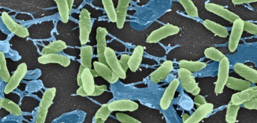 土壤质地改良措施有哪些,土壤有机质改良的主要方法