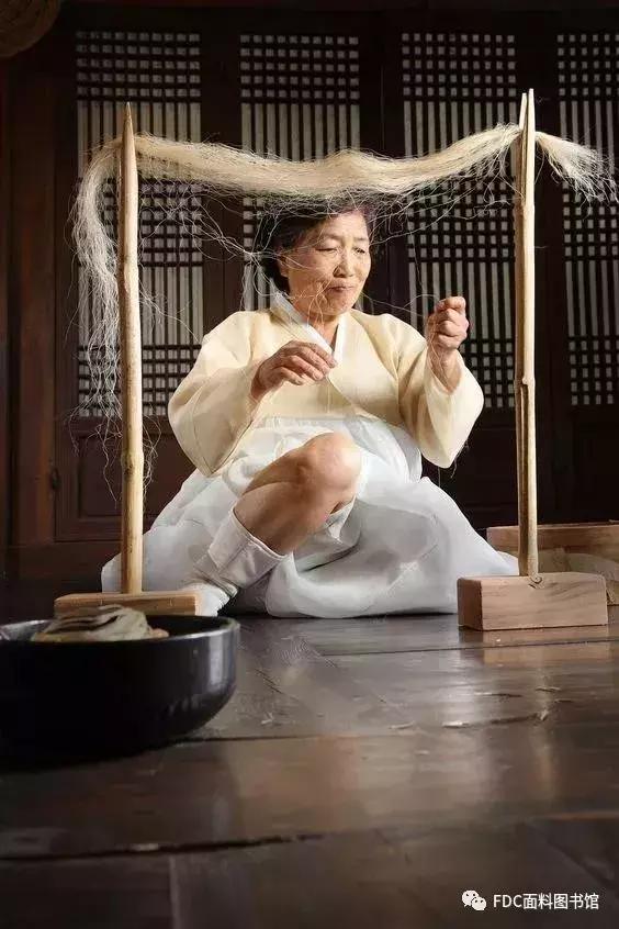 能用来制作面料的植物知多少？（下）