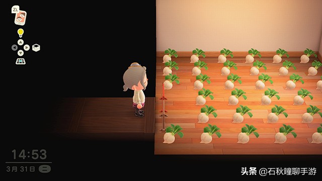 动物之森新手攻略,动物之森100个小技巧