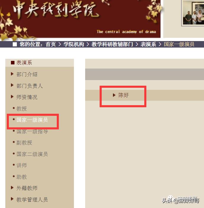 翟天临陈好,陈好演万人迷的时候多大