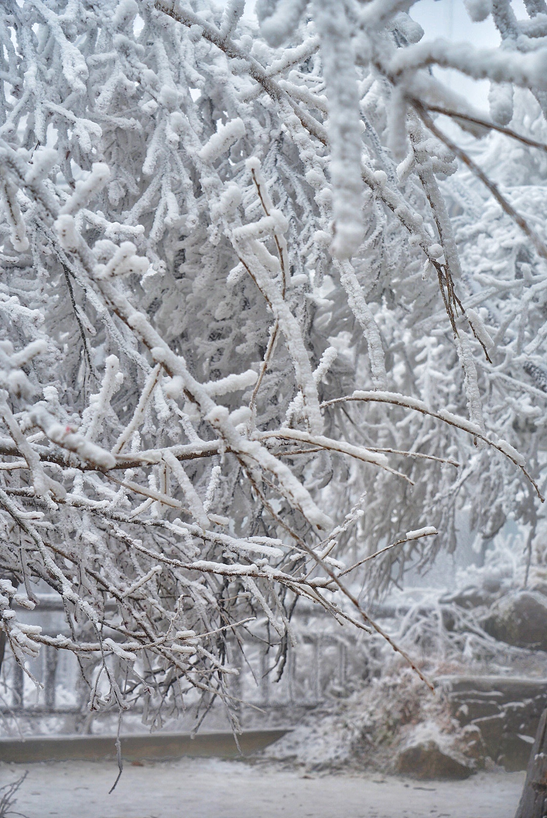 张家界雪季攻略,冬天湖南张家界攻略