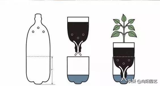 在家里怎么自制一个自动浇水装置,自制简单自动浇水神器美观