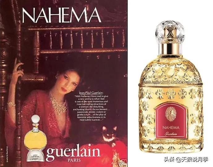 最接近月季花香的香水,以香水名字命名的月季有哪些