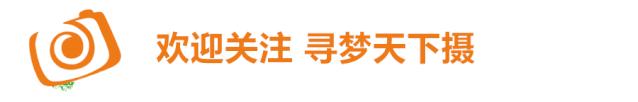 焦距和测光摄影技巧有哪些,摄影入门九讲之四焦距是什么