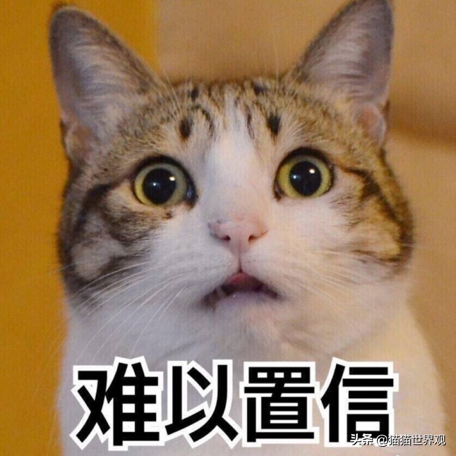 猫的胡须断了正不正常,猫眼睛上的胡须可以剪吗