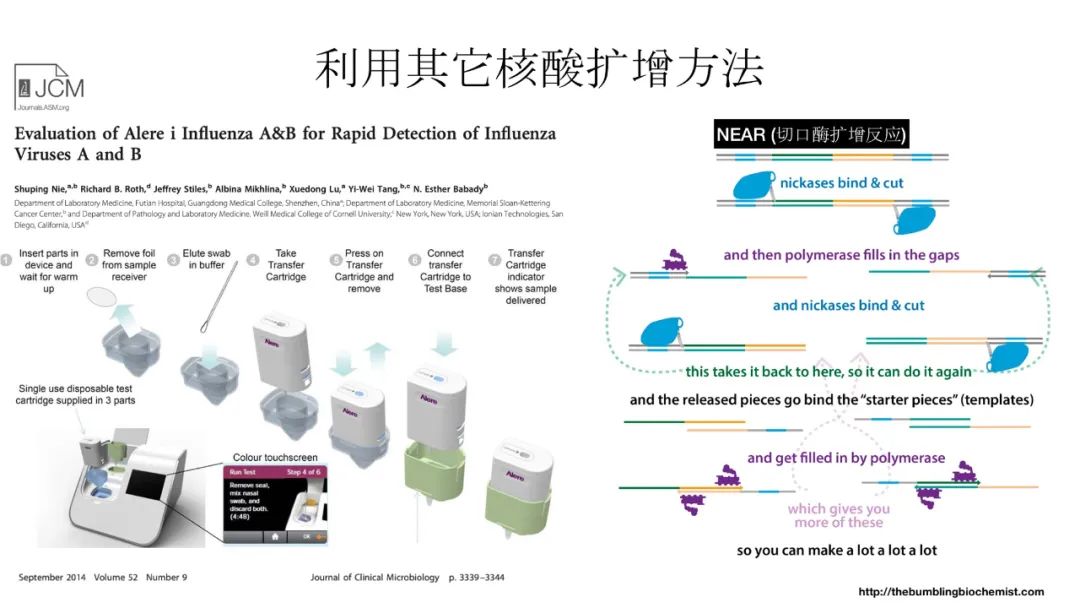 新冠病毒检测结果实验室解读,新冠病毒有哪些实验室检测方法