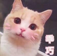 保健品*局骗**从冬虫夏草到壳寡糖、酵素、松花粉、灵芝粉，再到桃胶