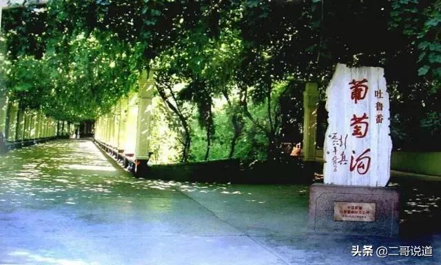 全新疆旅游景点有哪些,新疆带沟的旅游景点