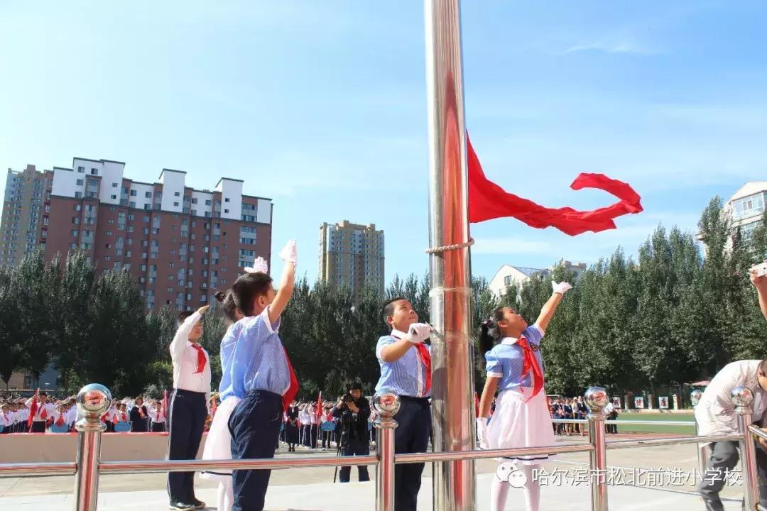 新区好学校,新区好的小学