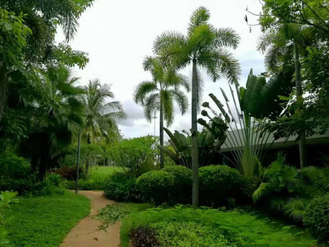 三亚清水湾别墅二手房最新出售,三亚清水湾精装别墅价格一览表