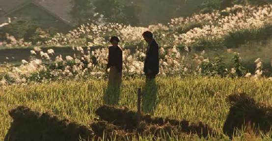 十部顶级慢生活电影,二十部顶级耐看的日本电影