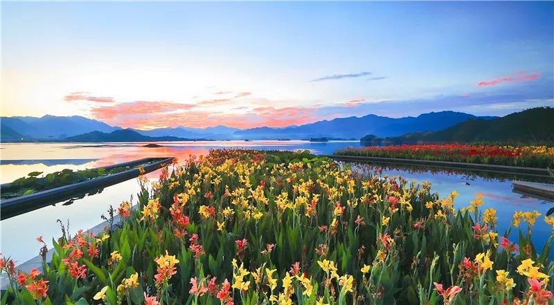 红花疏影横斜，湖瀑水天一色——千岛湖珍珠广场景观工程赏析