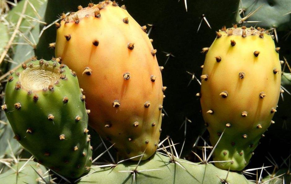 做人不要太锋芒毕露学会低调处事,为人处世只要懂得这三条规则