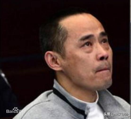 全国第一起黑社会大案,中国前十特大黑社会性质案件