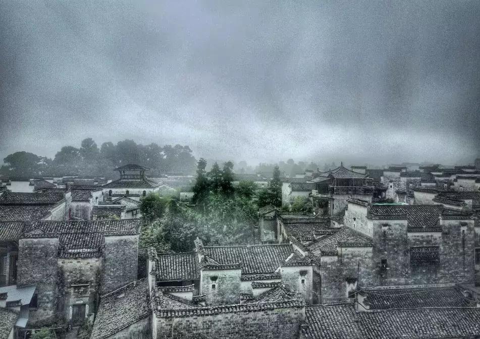 冬季视觉治愈系列！治好你的“冬天不想出门症”~