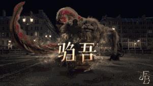 倪妮同款小猫咪,倪妮李宇春奇妙的动物