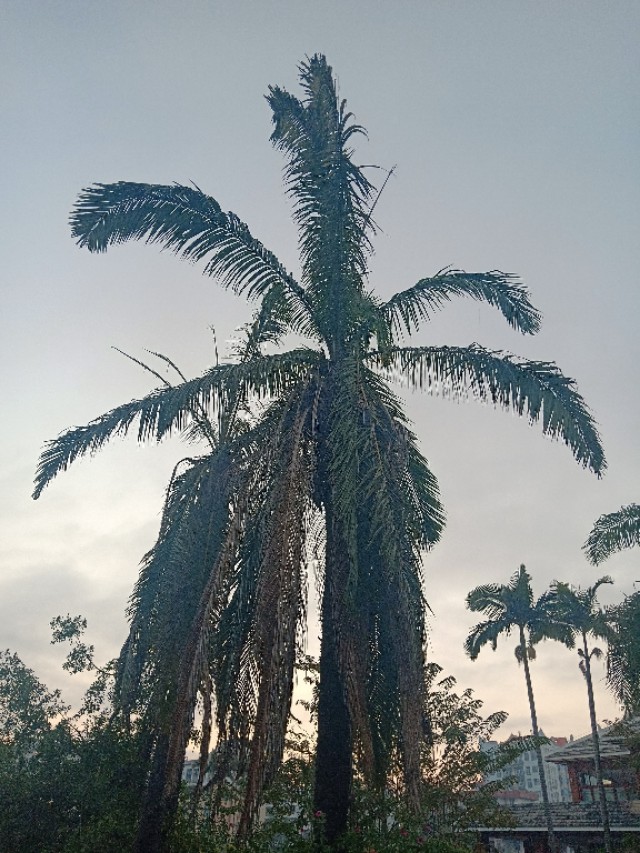 炒股第二十七篇,聊聊炒股的那些趣事