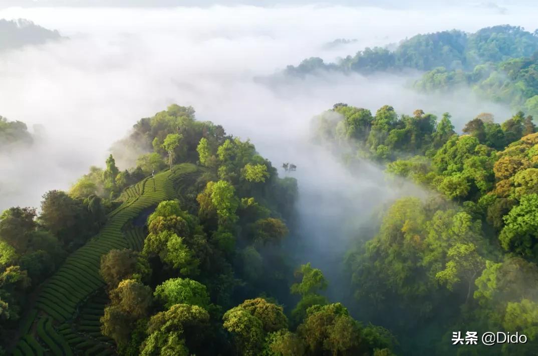 成都top100小区,成都最美top10图书馆