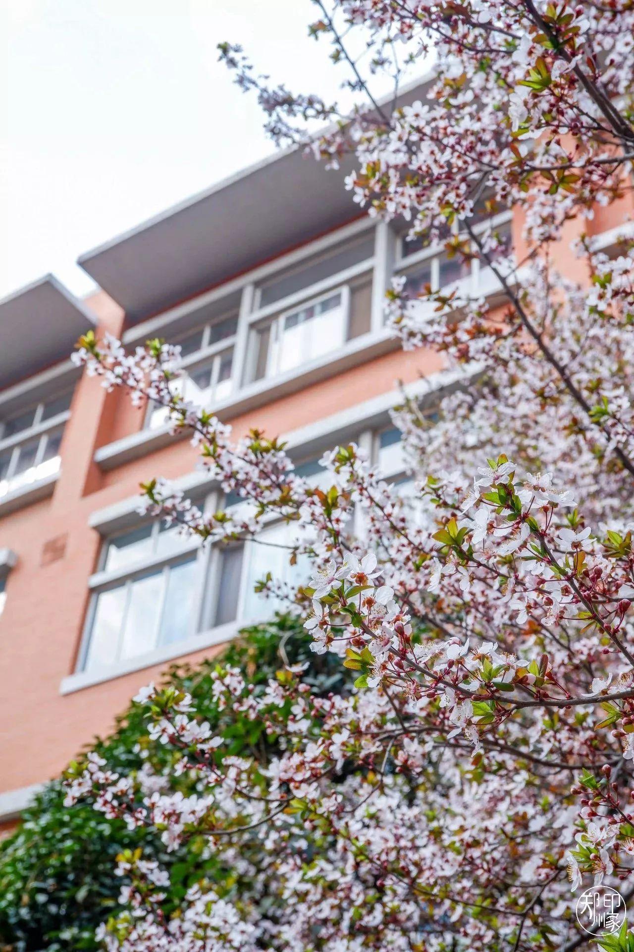 娴庡崡骞寸粓鎬荤粨鎶ュ憡,鍚堣偉骞寸粓鎬荤粨鎶ュ憡