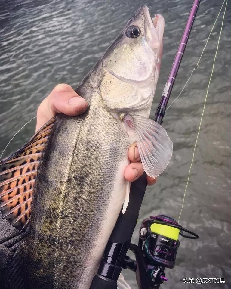 新手远投纺车轮套装推荐,新手钓鱼入门装备纺车轮套装