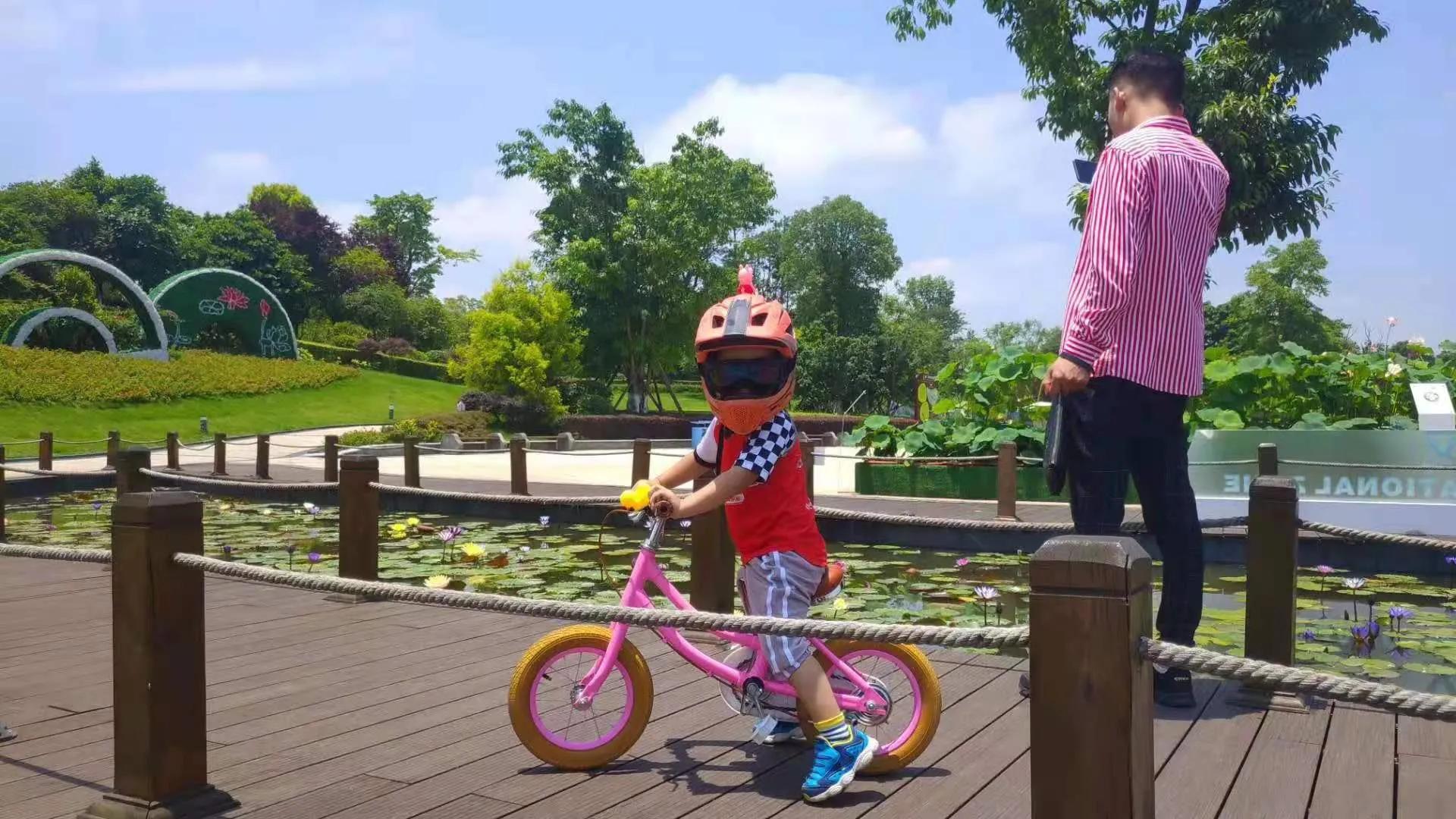 爸爸妈妈的成长日记,我的爸爸是什么的作文