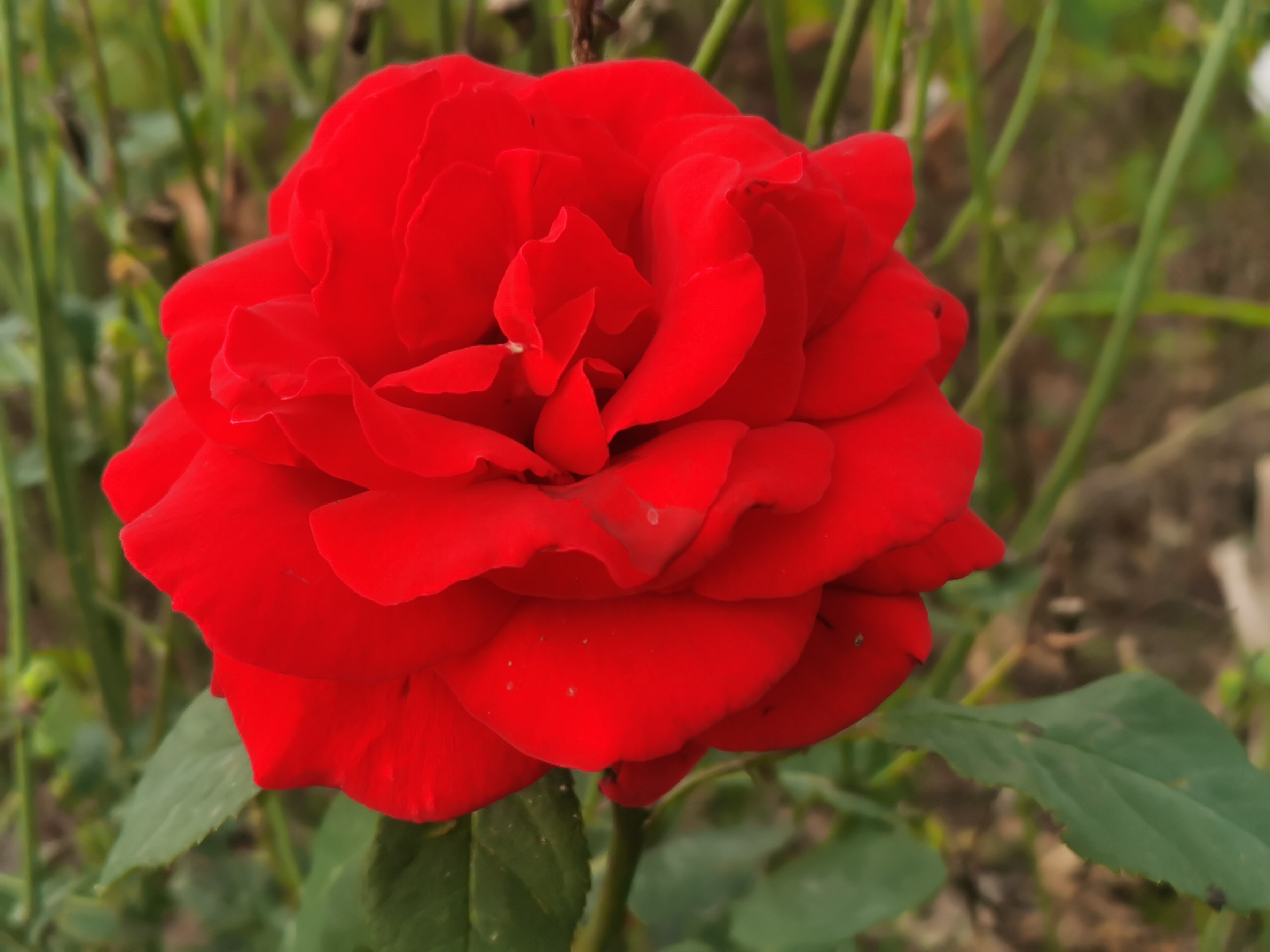 曾经的脏乱差变成了现在的新景观,从面目全非到焕然一新