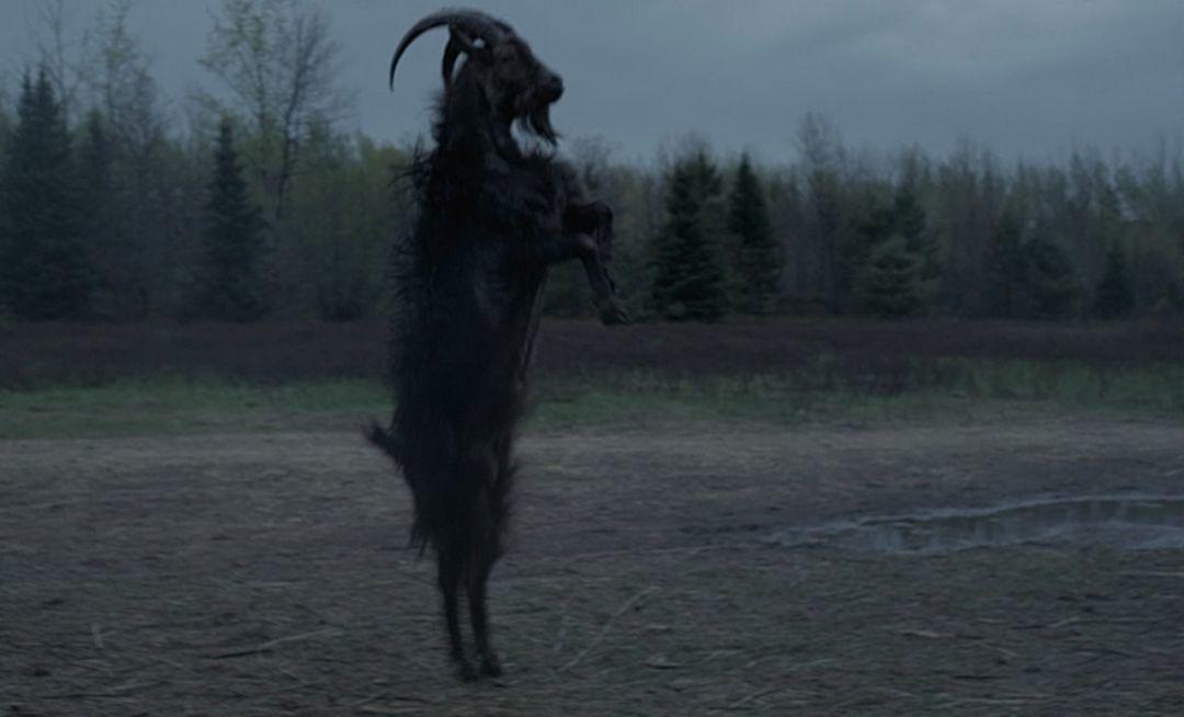 2019纭洏鎺ㄨ崘,2019纭洏鎺ㄨ崘1t