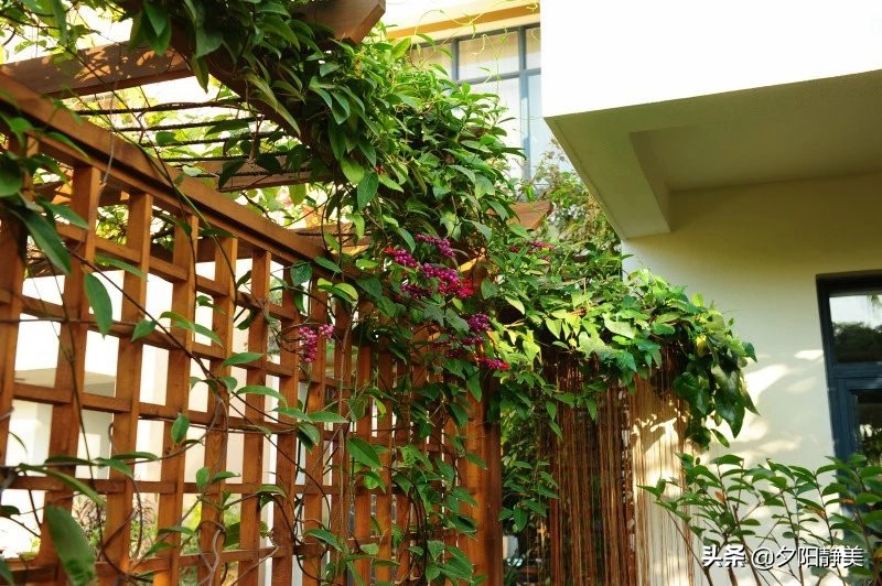 我的海南之旅全集,海南天赐上湾怎么样