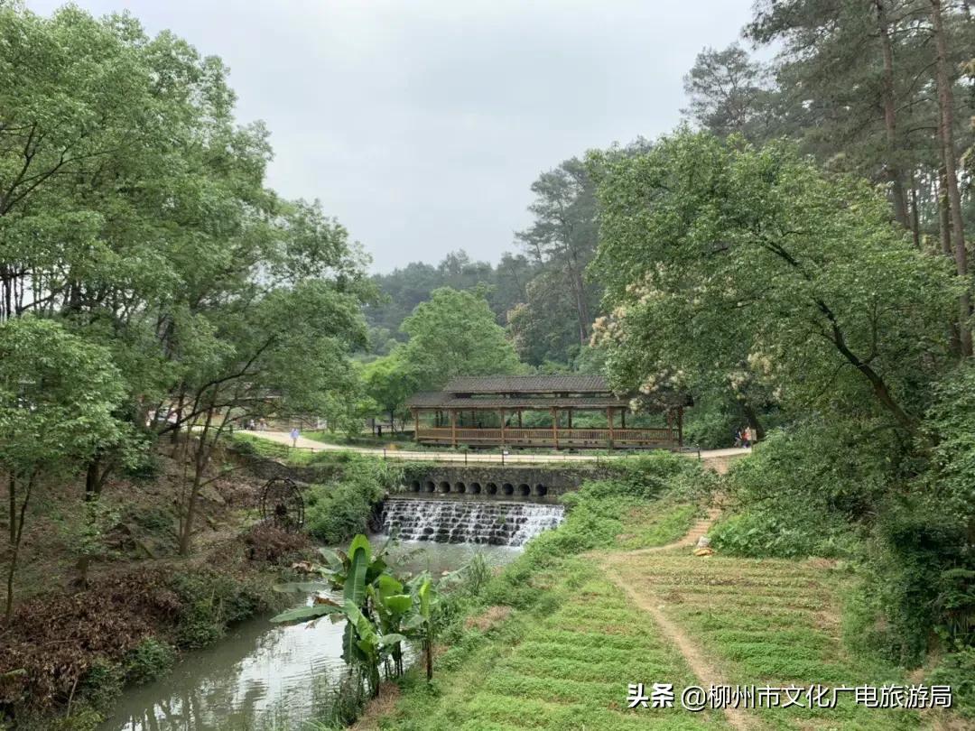 旅游农家乐,旅游休闲两不误