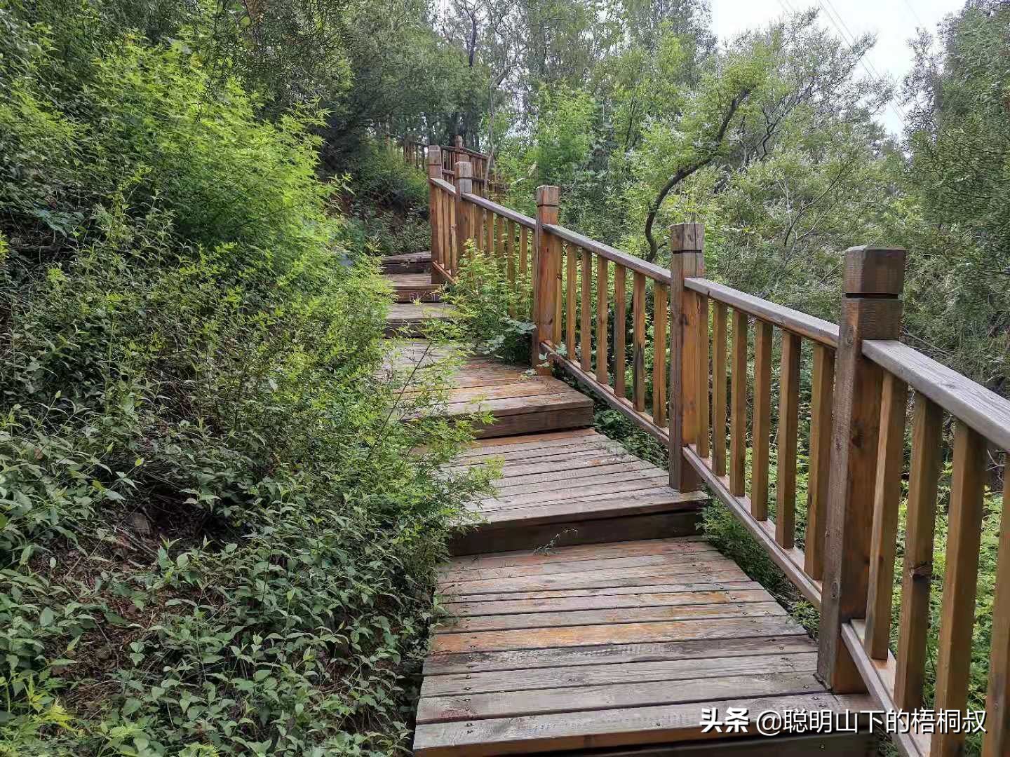 蟒山国家森林公园自由行攻略,北京蟒山森林公园游玩攻略