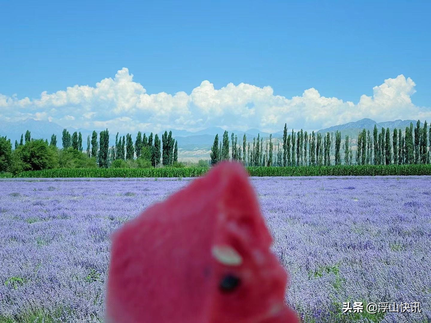 闲聊青岛房企：分手大师奥园的心思，你别猜