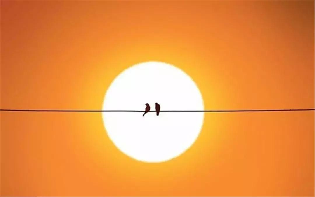 卡尔荣格说,卡尔荣格人生四个阶段