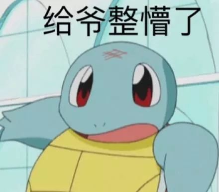 双十一现货猫粮,双十一猫粮预购